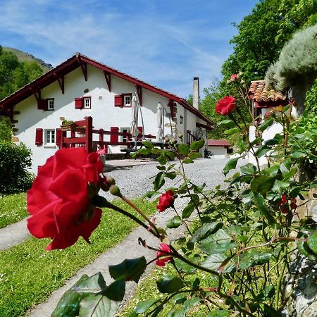 Chambres D'Hotes Agorerreka Saint-Etienne-de-Baigorry Zewnętrze zdjęcie